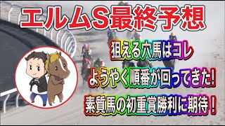 エルムステークス2023最終予想【狙える穴馬はコレ！ようやく順番が回って来た素質馬の初重賞勝利に期待】