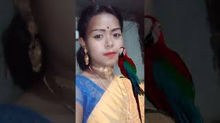 My sweet parrote - I love my dear birds ,আমার মিষ্টি টিয়া ।