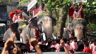 കൊമ്പന്മാരുടെ ഏറ്റുമുട്ടൽ തൃത്താല ഫെസ്റ്റിൽ നിന്നും #elephant #youtube #pooram #viral #fest