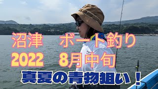 沼津沖　青物狙いボート釣り　8月中旬　