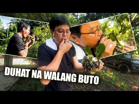 KUMAIN AKO NG DUHAT NA WALANG BUTO, GRANADA AT BAYABAS SA SAN ILDEFONSO Buhay ni Idol Romeo Ep. 28