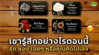 Pick a card เขารู้สึกอย่างไรตอนนี้ รัก ชอบ เฉยๆ หรือคุณคิดไปเอง