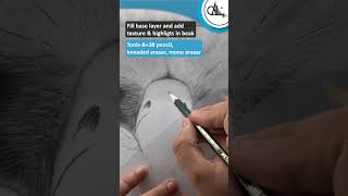 Step by step Realistic Eagle Drawing! #shorts #drawing