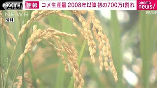 コメ生産量　初の700万トン割れ　2008年以降(2021年7月29日)