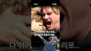 “살아있었어!” LA 산불로 잃어버린 반려견 찾고 벅찬 감동 [강남대로315]