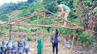 Continue to build more chicken coops at the farm |hoangchieufarm