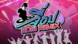 จื่อบ่ (ຈື່ບໍ່) ver. EDM REMIX 【AUDIO】