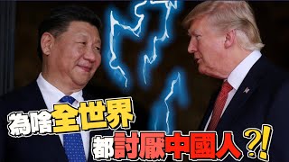 全世界都討厭中國人??中國人有那麼討人厭嗎?? | 柴Sean你說