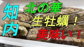 知内町　牡蠣ニラ祭り