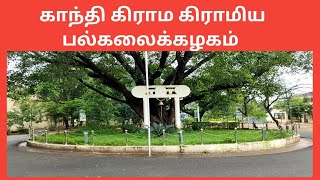 காந்திகிராம பல்கலைக்கழகம்