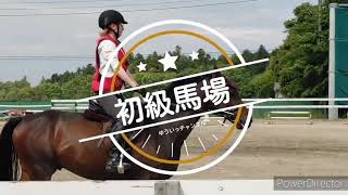 ロシア人は初級馬場レッスンに参加してみました