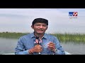 nal sarovar witnesses chirping of migratory birds ahmedabad tv9gujaratinews