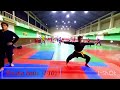 wushu basic 1 10