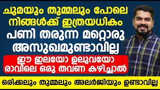 ഈ ഇലയോ ഉലുവയോ രാവിലെ ഇങ്ങനെ ഒരു തവണ കഴിച്ചാൽ ഒരിക്കലും തുമ്മലും അലർജിയും ഉണ്ടാവില്ല |allergy maran