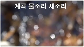 계곡 물소리 새소리 ~ 8시간 힐링 자연의소리 asmr