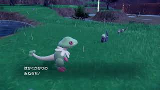 色違いハブネーク遭遇シーン【ポケモンSV】