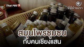 สมุนไพรชุมชนกับคนเชียงแสน | ที่นี่บ้านเรา