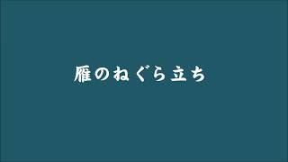 雁のねぐら立ち　蕪栗沼2021年10月23日早朝