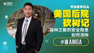 美国后院砍树记：森林之都的安全隐患如何消除？