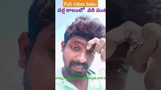 కొచెర్ల గ్రామమ్ పొలం పని చేస్తున్నప్పుడు చిన్న vlog 😁🙅🙅