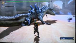 MH3G HDver 狩人の頂　10分22秒