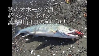 秋のオホーツク海　超メジャーポイント　藻琴川河口の鮭釣り