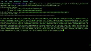 Fastest Method For Exploiting Boolean Blind Sql Injections Sql Anding ...