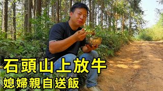 山里放著“幾十萬元”，小伙寸步不離守著，吃飯都需要媳婦送！ 【石頭秀】