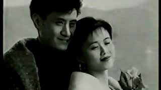 劉文娟 - 紅天灰雨 1992