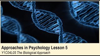 A-Level Psychology (AQA): Approaches in Psychology - The Biological Approach