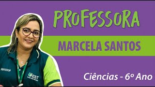 Ciências – Outros Astros do Sistema Solar- Profª Marcela Santos