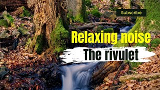 [Relaxing noise]: The BEAUTIFUL stream/rivulet