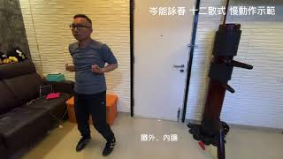 岑能詠春 十二散式 ( 慢動作示範 ) Sum Nung Wing Chun Twelve San Shi ( a slow-motion demonstration )