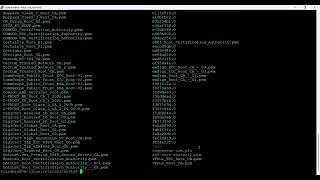 Install SSL/TLS certificate in Apache Tomcat in a Linux Server