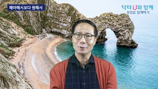 공부는 해야 되는데 잘 안될 때, 할 일은 많은데 일이 손에 잡히지 않을 때 이렇게 해보세요  : 닥터U의 '해야해서보다 원해서' want to rather than have to