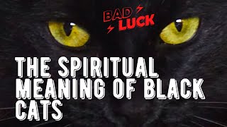 Spiritual Meaning Of A Black Cat. What Happens If A Black Cat Crosses Your Path Video?