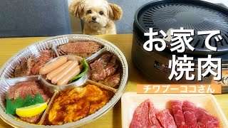 今話題のイワタニ「やきまる」でお家焼肉をしたチワプーココさん