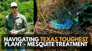 Navigating Texas Toughest Plant - Wildlife Management: Mesquite Treatment