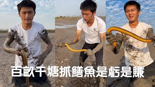 600塊包下一塊百畝幹塘抓一天的鱔魚，大家猜猜今天是虧是賺？#viralvideo #fishing #熱門 #抓魚