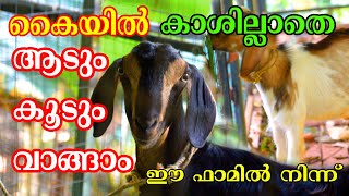 ആട്‌ വളർത്തി ലാഭം കൊയ്യാൻ സബർമതി എന്നും കർഷകരോടൊപ്പം | ആട് ഫാം | ആട് വളർത്തൽ | Buy Goat and Cage