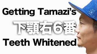 【下顎６番】たまじの歯を白くする。Getting Tamazi’s Teeth Whitened