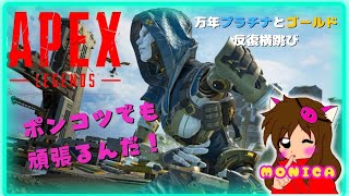 【APEX】ランク最終日！行けるところまで行きたい…！