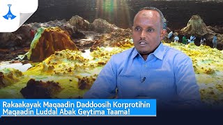 Rakaakayak Maqaadin Daddoosih Korprotihin Maqaadin Luddal Abak Geytima Taama!