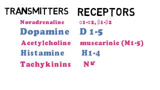 What are Neurotransmitters and their receptors?