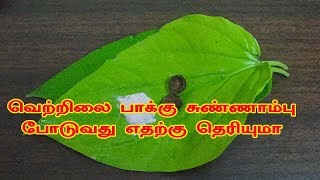 வெற்றிலை பாக்கு சுண்ணாம்பு போடுவது எதற்கு தெரியுமா  | betel leaf benefits