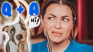 Little Q+A how I got into true crime, saint the doggie and embarrassing stories! GRWM Bailey Sarian