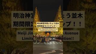 明治神宮外苑いちょう並木/期間限定ライトアップ！！2024年11月23日〜12月1日  16:30〜19:30 #東京観光  #明治神宮外苑 #いちょう #イチョウ #ライトアップ #Tokyo