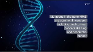 Targeted inhibition plus immune checkpoint blockade: The new frontier for KRAS-mutant cancers