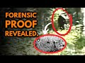 Bigfoot Proof...Why the Paul Freeman Footage CAN'T Be Fake (Scientists Confirm)