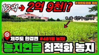 [제주도경매 특집] 4회 유찰! 제주도에 위치한 농지연금에 최적화된 경매 물건!! 근데.. 1종 일반주거지역이라구요!?[ 사건번호 2023타경2321 ]